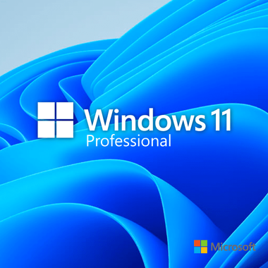 Microsoft Windows 11 Professional 64bit Download